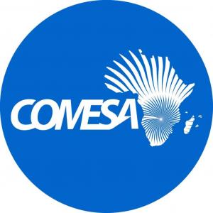 The Common Market for Eastern and Southern Africa (COMESA)