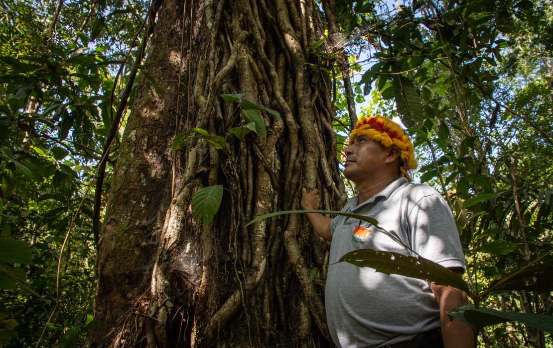 Hombre parado al lado de un árbol en Perú