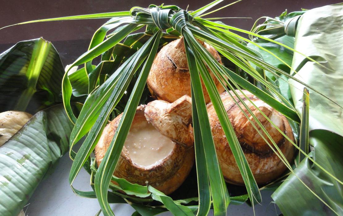Several coconuts in a traditional handmade basket made out of coconut palm leaves.