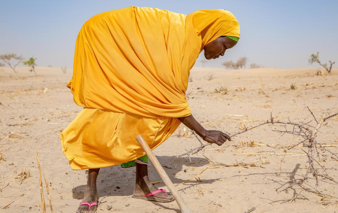 Une femme enlève des plantes séchées dans un champ au Tchad.