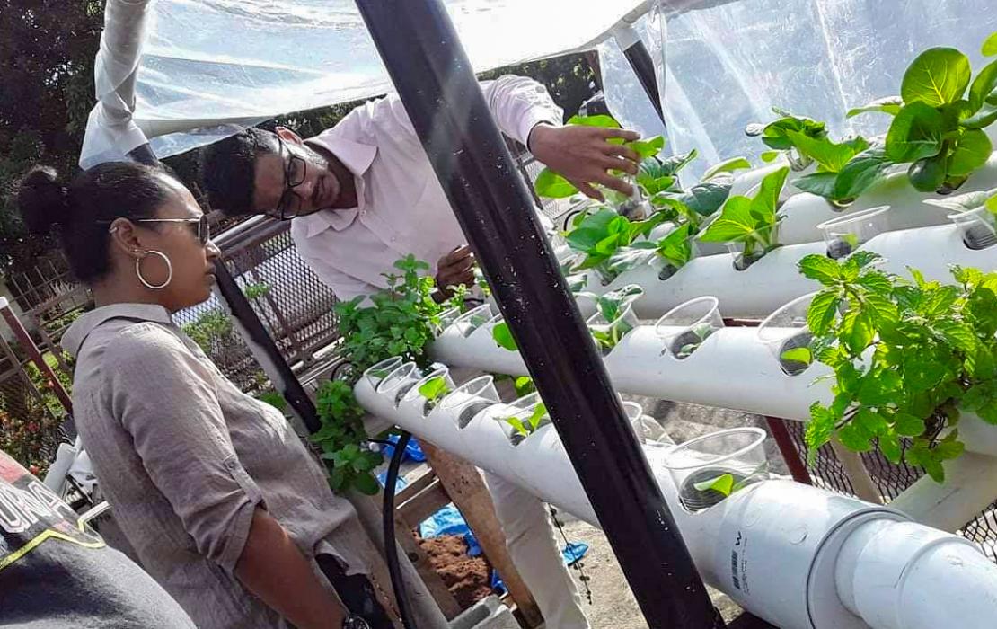Two young people examine plants being grown in a hydroponic garden using plastic pipes.