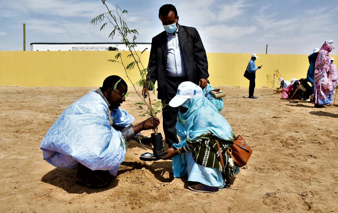 Jeunes plantant des arbres au cours du lancement du projet de volontariat pour le développement durable en Mauritanie.