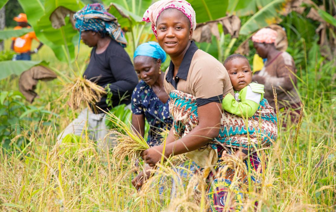 Women farmers in Guinea