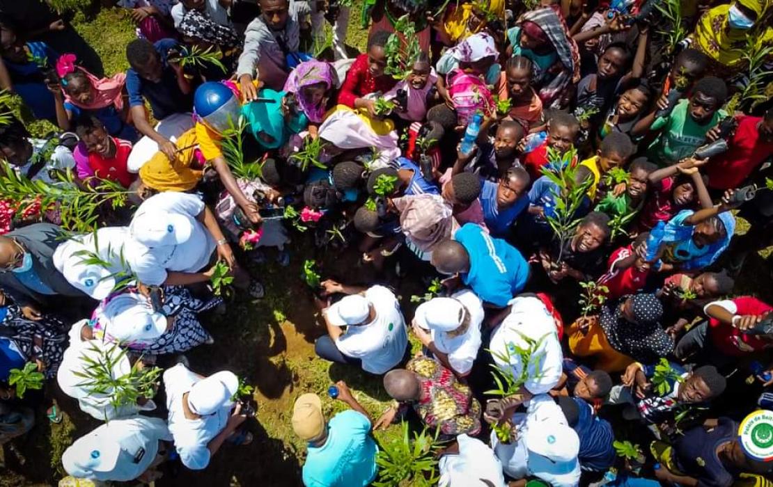 Une foule de personnes se pressant pour planter des arbres aux Comores.