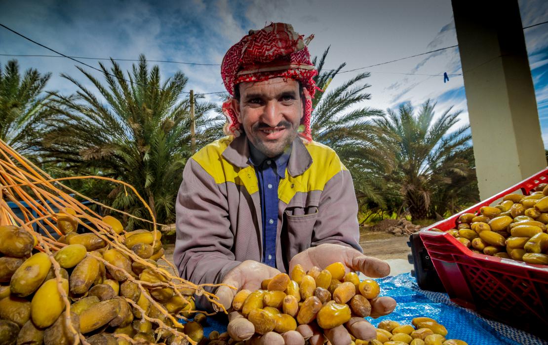 Un homme présentant des dattes fraîches au Maroc