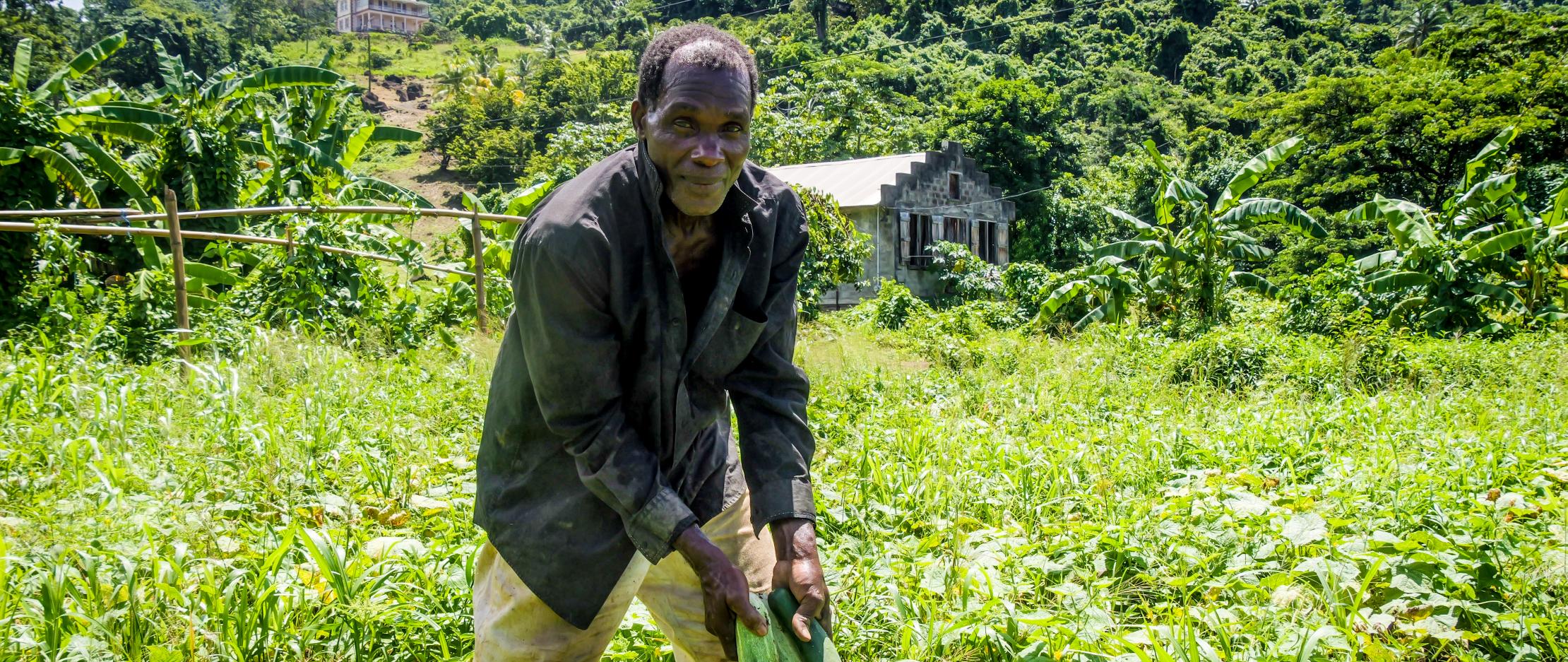 Agricultor en San Vicente y las Granadinas