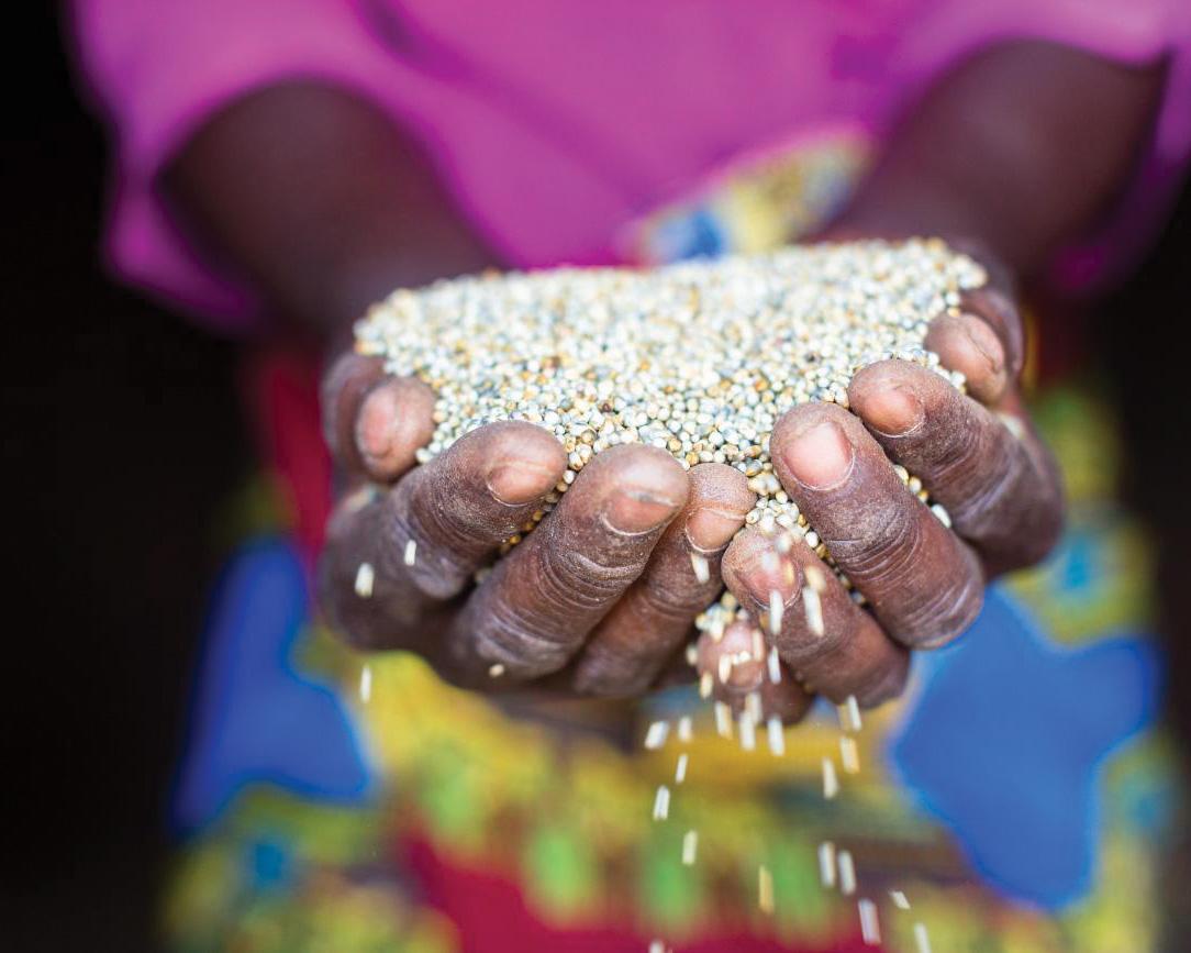 A person in colorful dress holds out a handful of grain