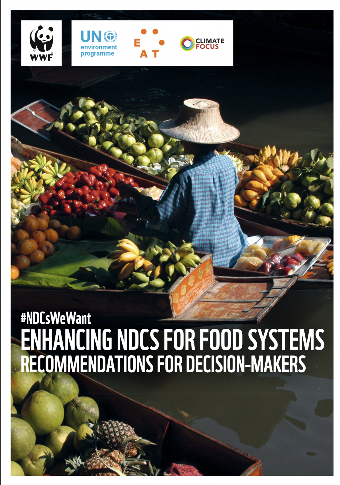 Enhancing NDCS For Food Systems: Recommendations for Decision-Makers