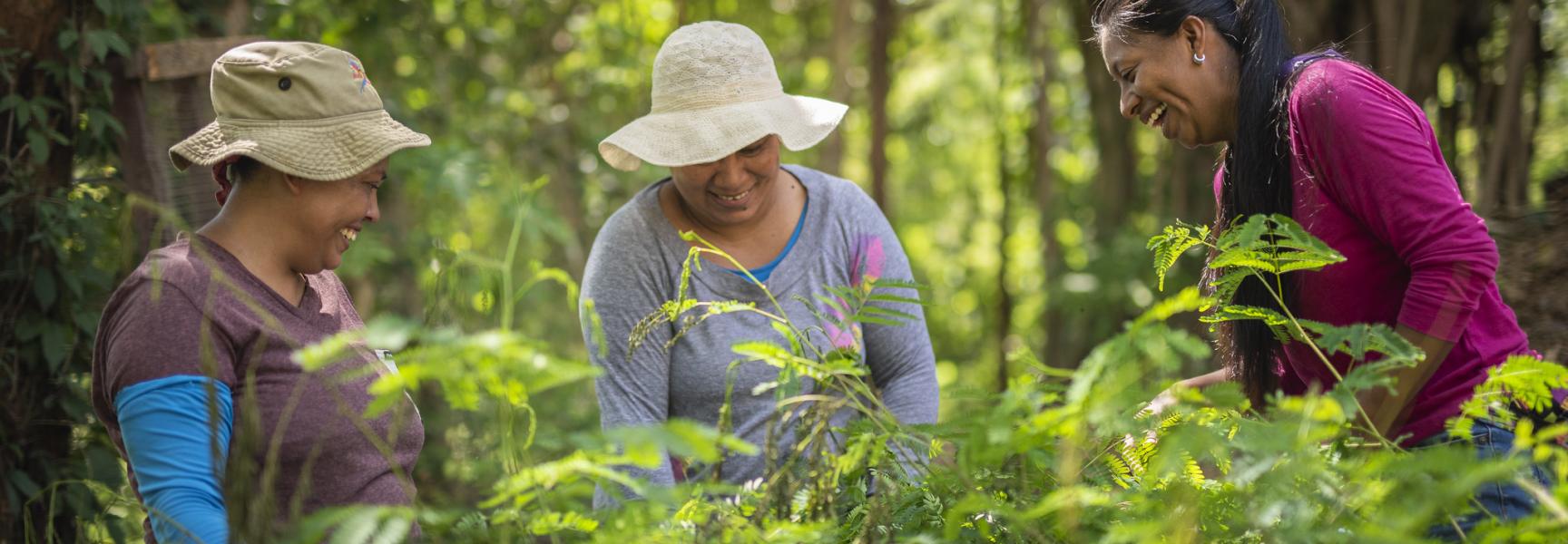 Mujeres en Costa Rica entre árboles