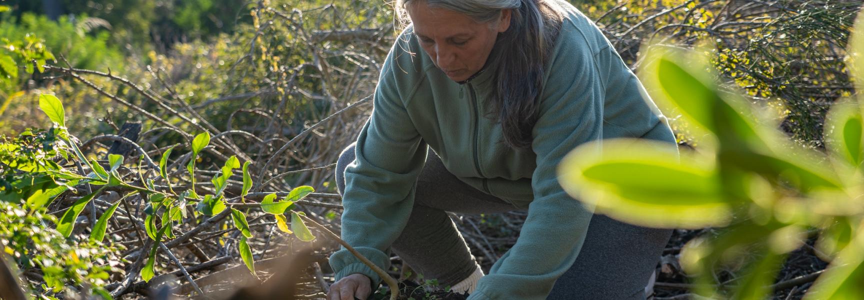 Mujer plantando un árbol en Uruguay