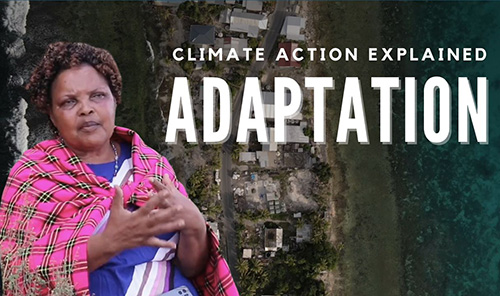 How do we adapt to climate change?