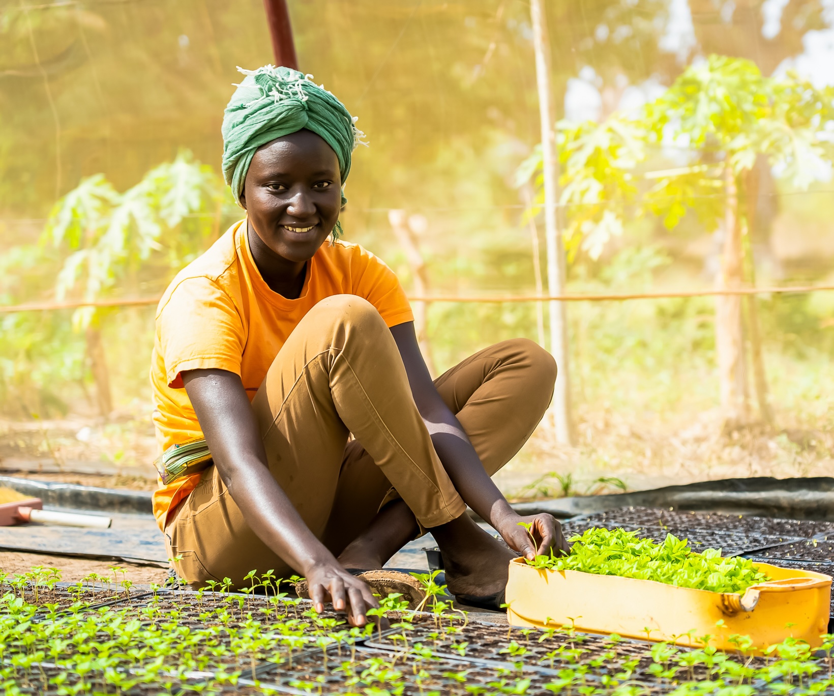 Los países en desarrollo están más preparados que nunca para acelerar la acción climática 