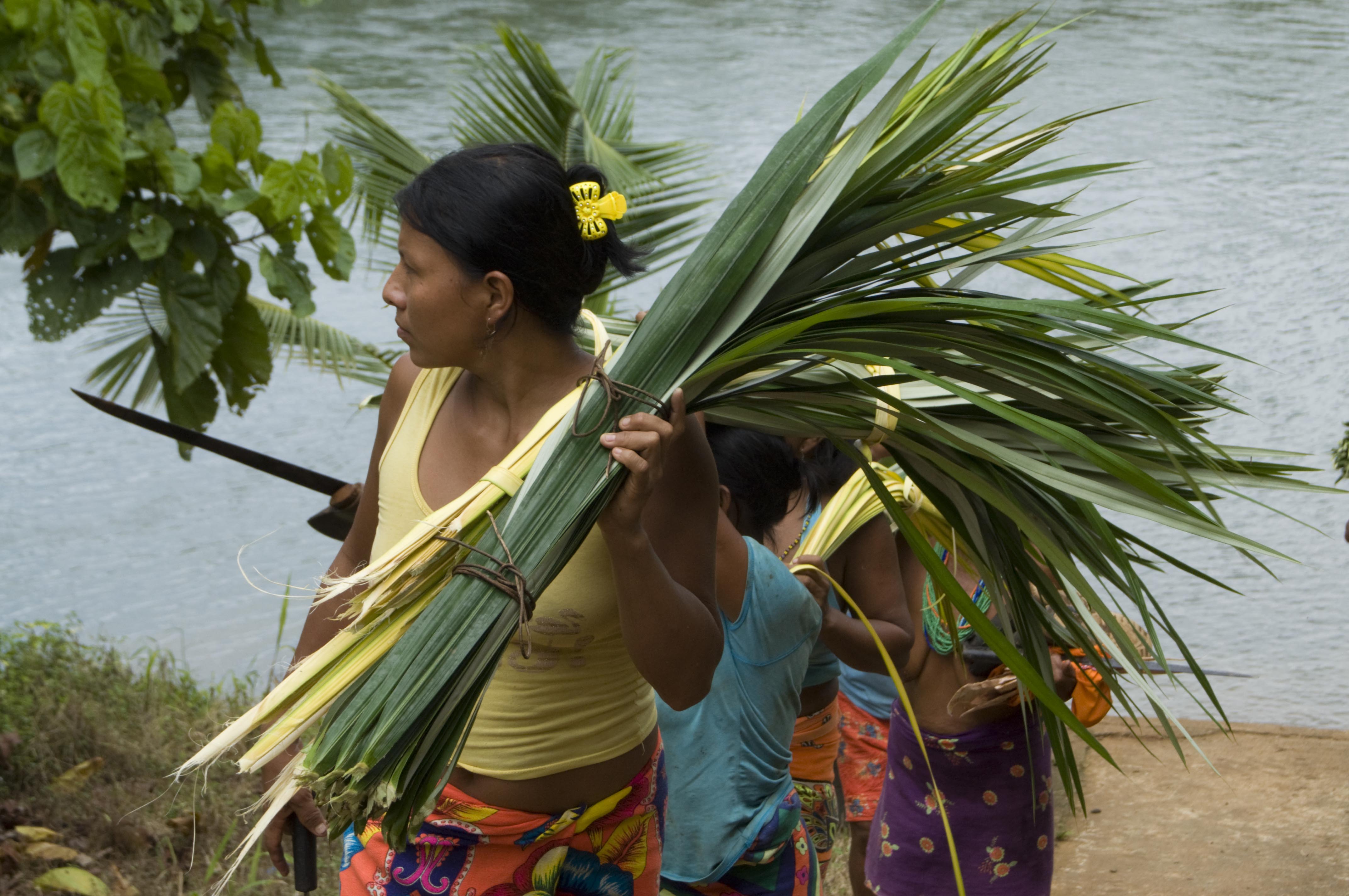 LAC Climate Week 2023 