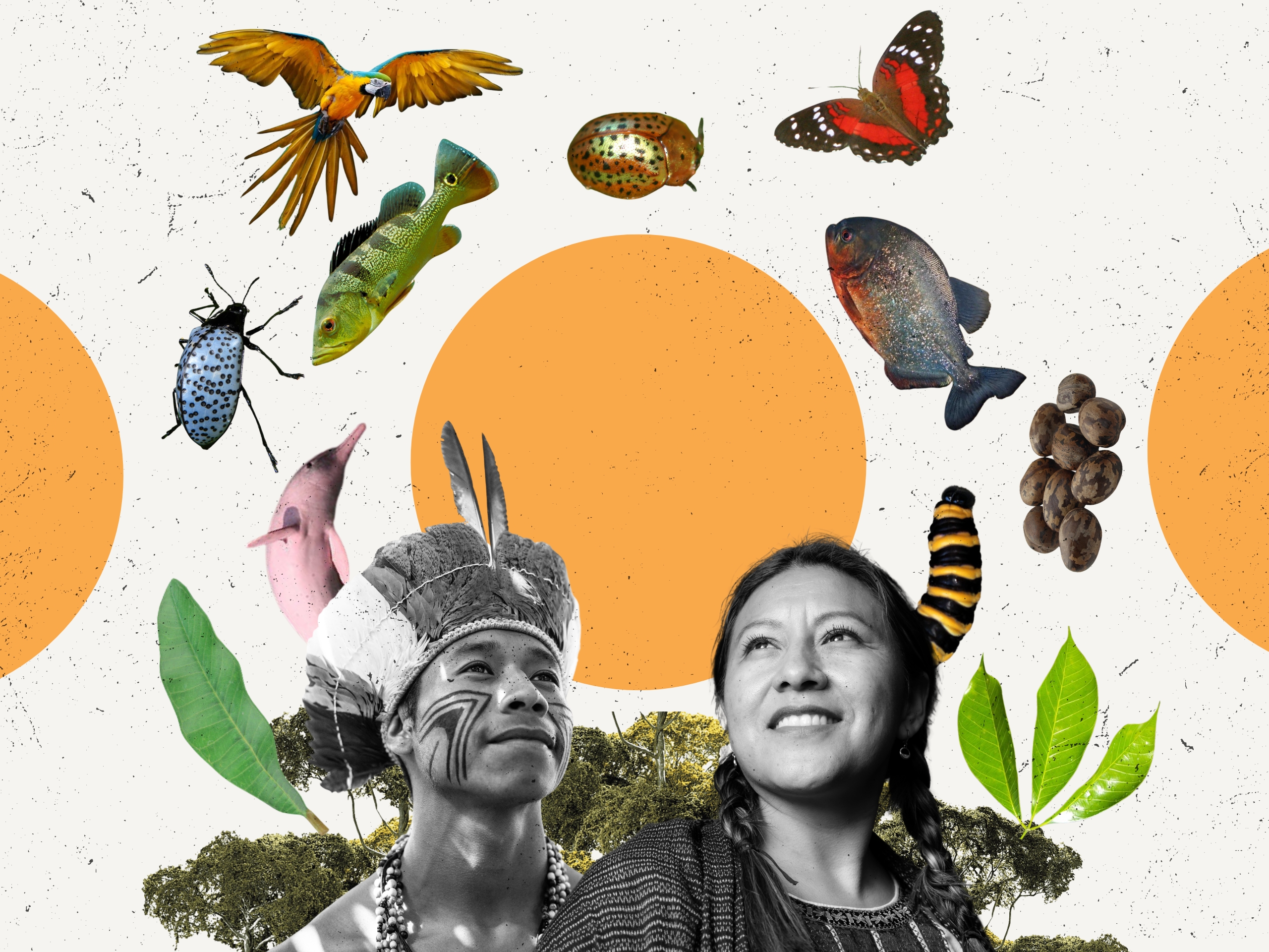 Indigenous knowledge is crucial in the fight against climate 