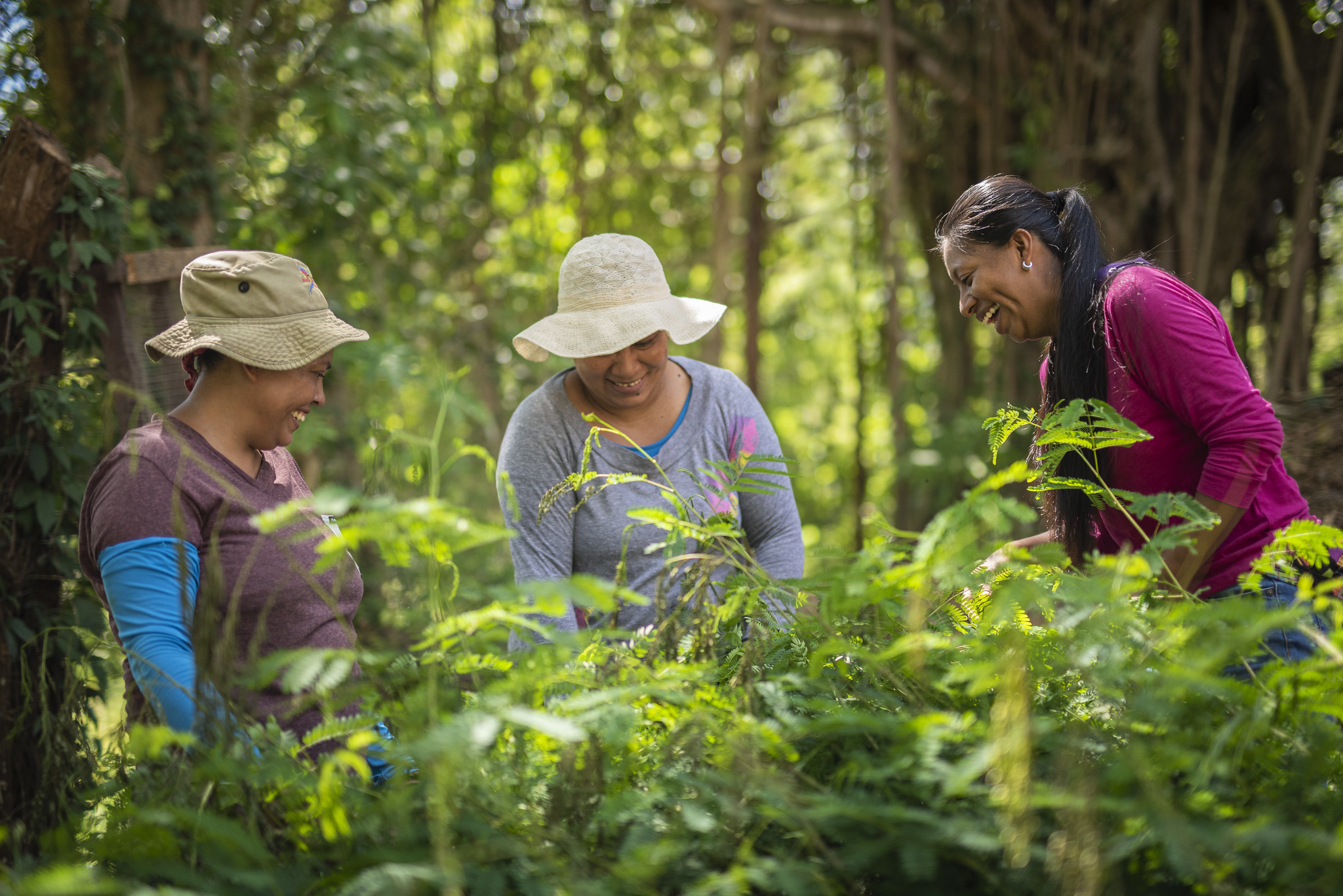 mujeres en una granja en costa rica