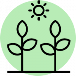 Icône de deux plantes et d'un soleil