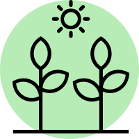 Icône de deux plantes et d'un soleil