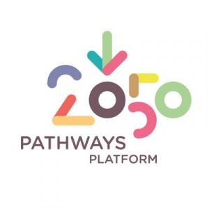 2050 Pathways Platform