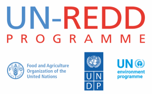 ONU REDD