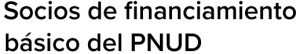 Socios de financiamiento básico del PNUD