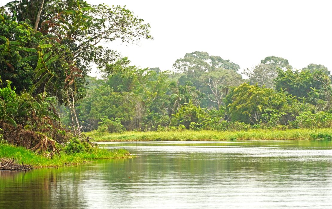 3 ways to improve land use and forest conservation in the Republic of Congo