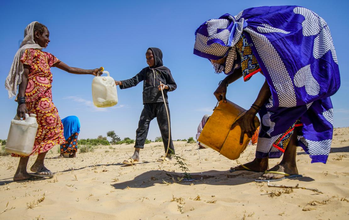 Région du Tchad - famille arrosant des semis dans le cadre de la lutte contre la désertification