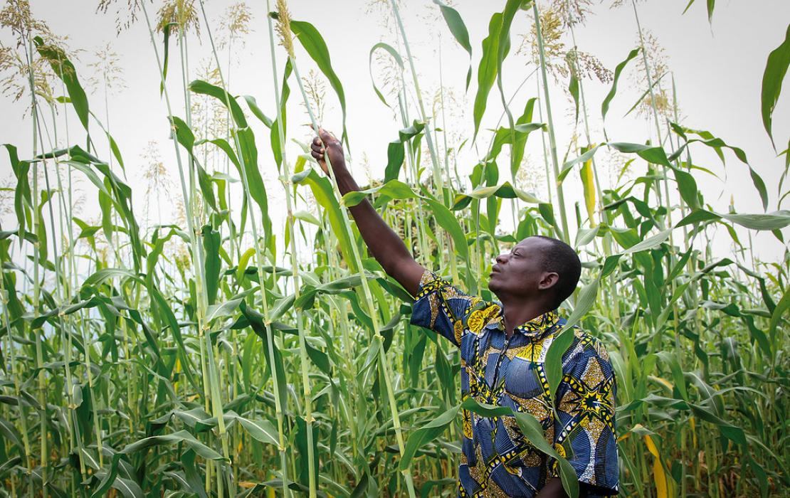 Farmer in Benin