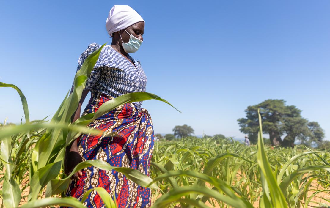 A woman walking in a field in Zimbabwe