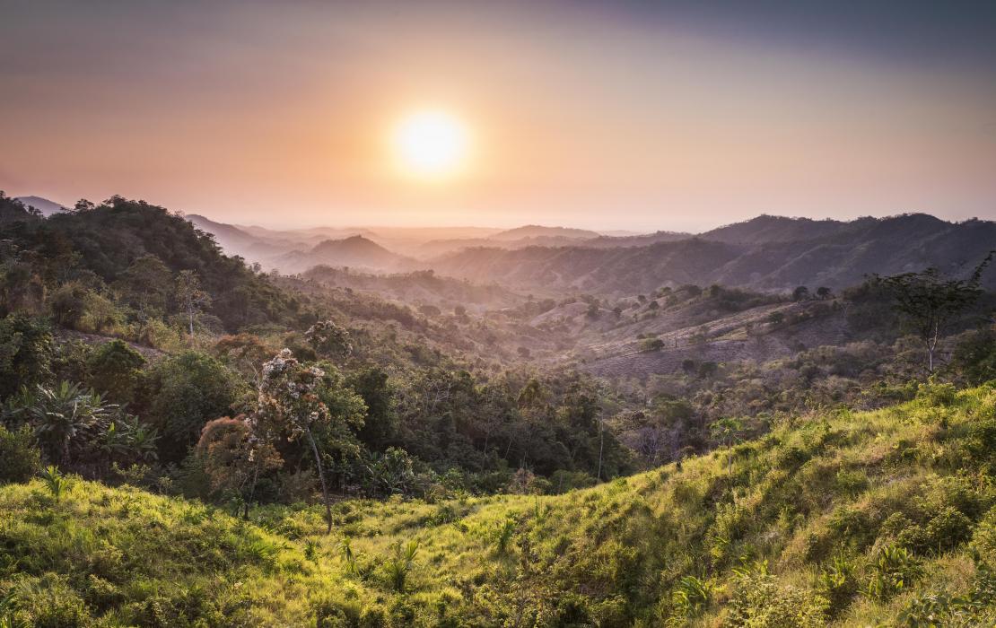 Bosque seco Colombia