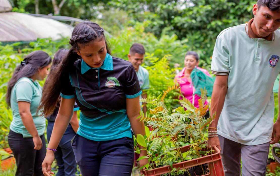 Des jeunes transportant de jeunes pousses d'arbres pour les planter au Costa Rica