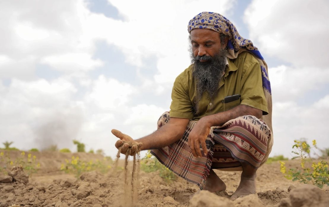  Economic crises and climate change are casting their shadow over agriculture in Al-Majhafah District. Photo: UNDP Yemen