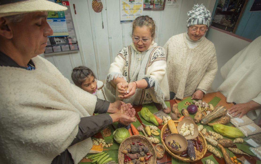 Food sustainability for climate action in Colombia