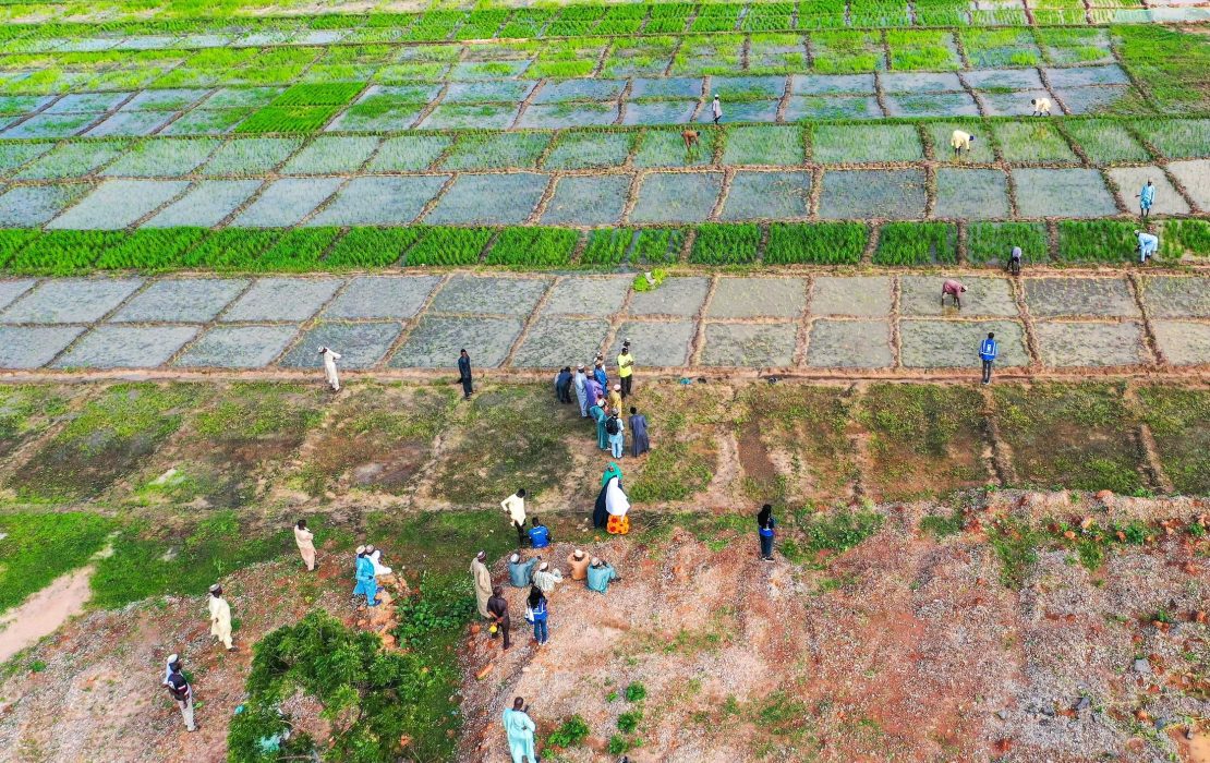 Agricultores en un campo en Nigeria