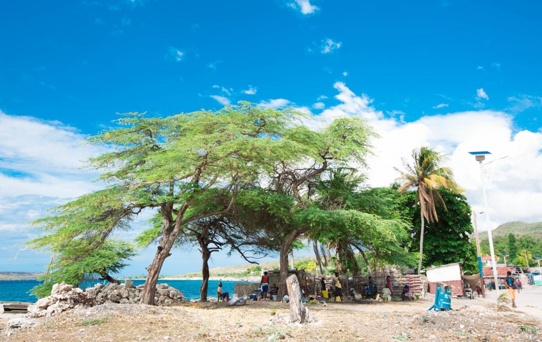 Paysage côtier en Haïti
