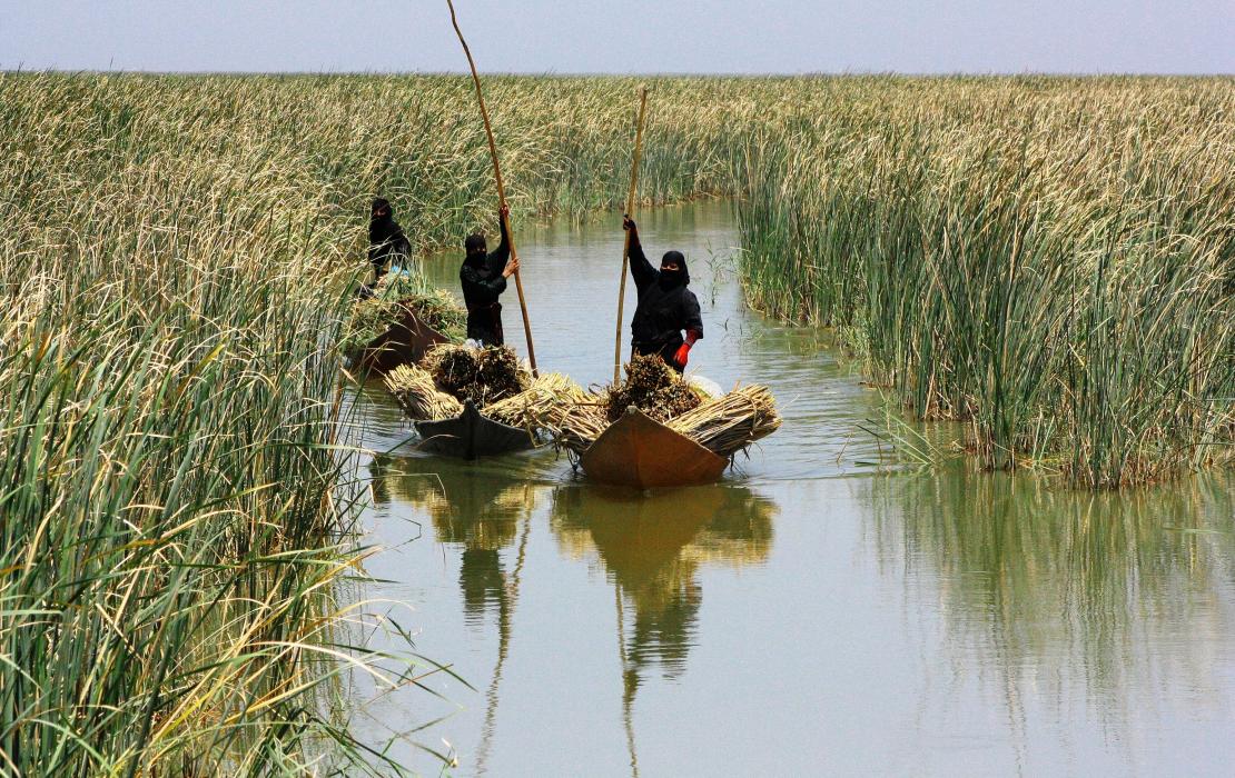 Mujeres en terrenos pantanosos en Iraq
