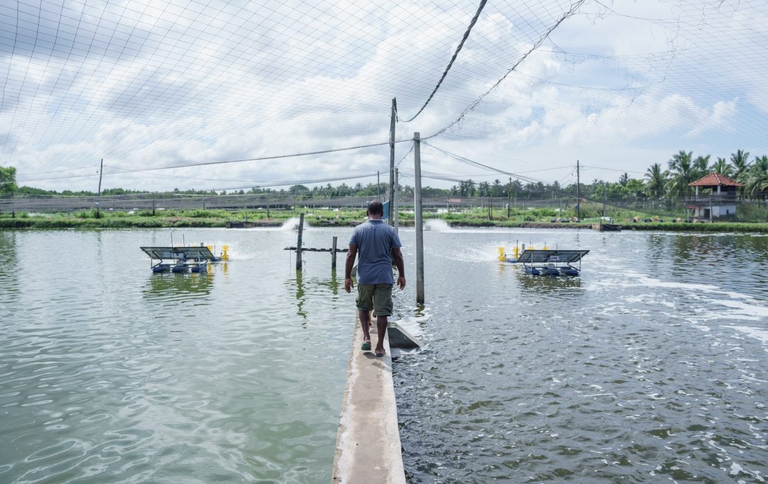 Why strong institutions, transparency and inclusive leadership are key to delivering climate solutions