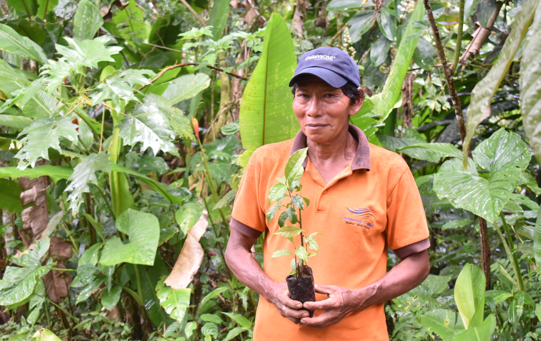 Forest restoration and monitoring in Ecuador