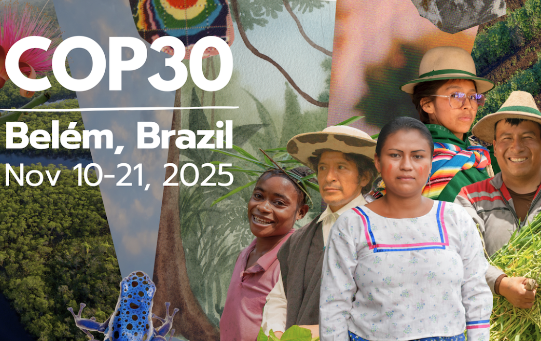 COP30: The UN Climate Change Conference