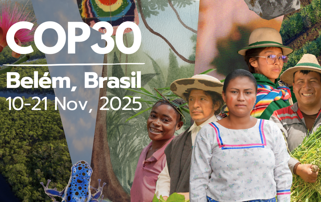 COP30