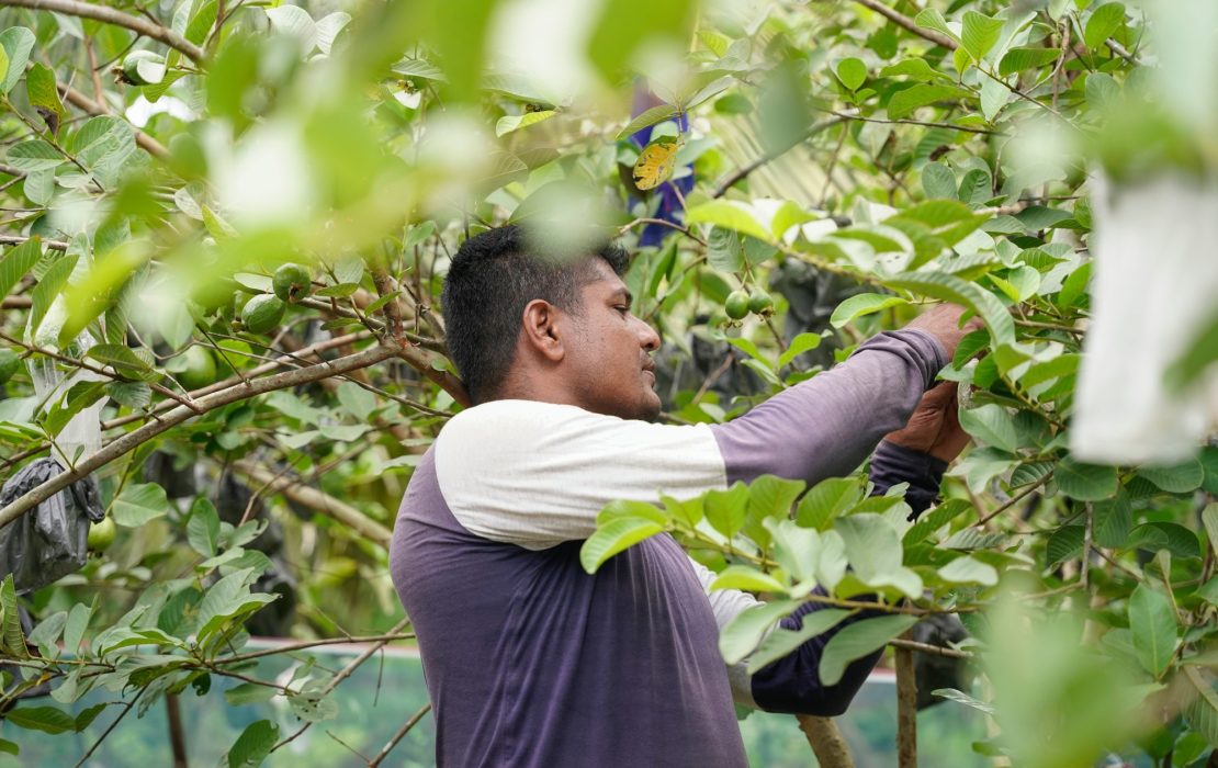 Collaborating for impact – UNDP Climate Promise global workshop
