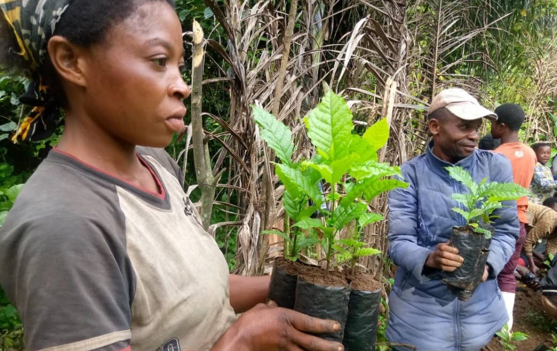 Community members participating in reforestation activities in South-Kivu. Photo: PIFEVA Reforestation activities in South-Kivu