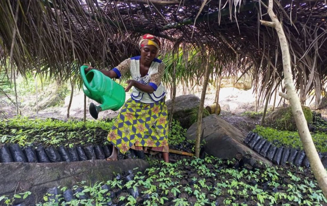 Woman watering her plants in South-Kivu. Photo: PIFEVA Woman watering her plants in South-Kivu