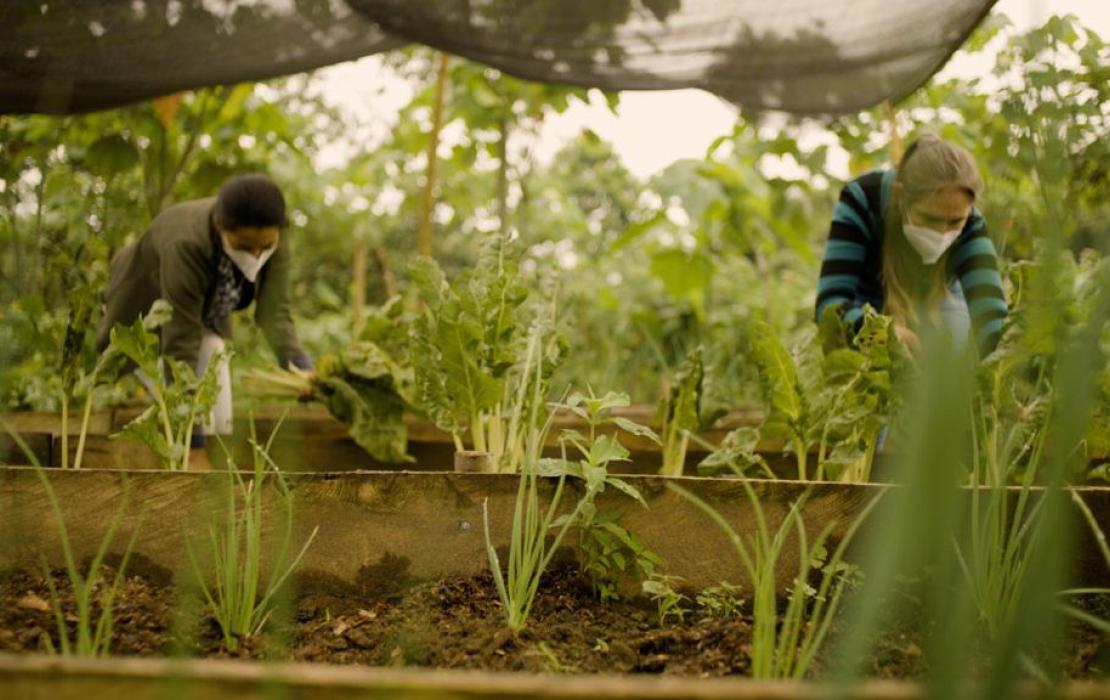 Women gardening with masks on