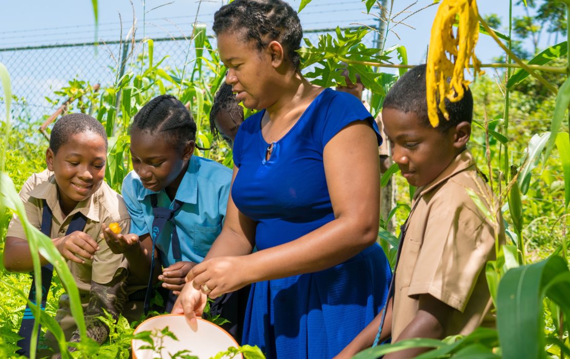 A green growth scenario would increase GDP and create new green jobs in Jamaica