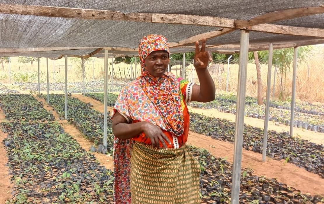 Abubakar Barkatu works at a shea tree nursery to provide for her family.