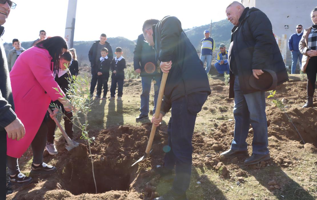 Tree planting