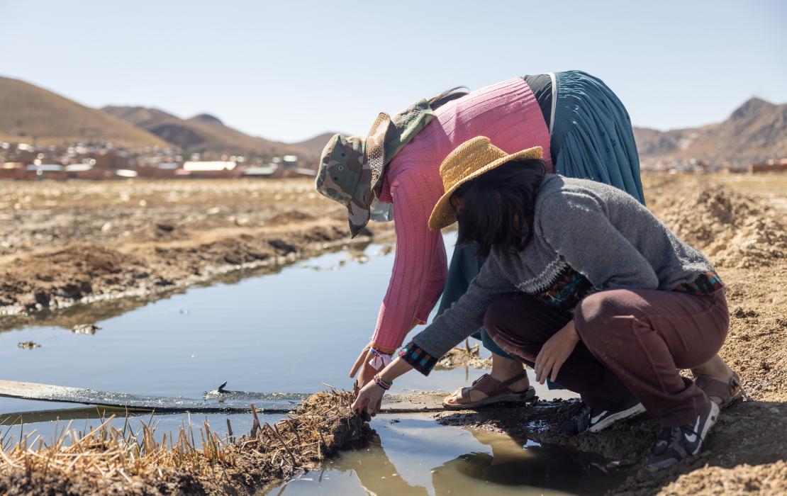 Des membres de l’équipe Uru Uru en Bolivie examinent des radeaux flottants fabriqués à partir de plantes indigènes selon les savoirs ancestraux. Ces radeaux permettent de réduire la pollution du lac Uru Uru. Photo : Equator Initiative du PNUD/WTYSL