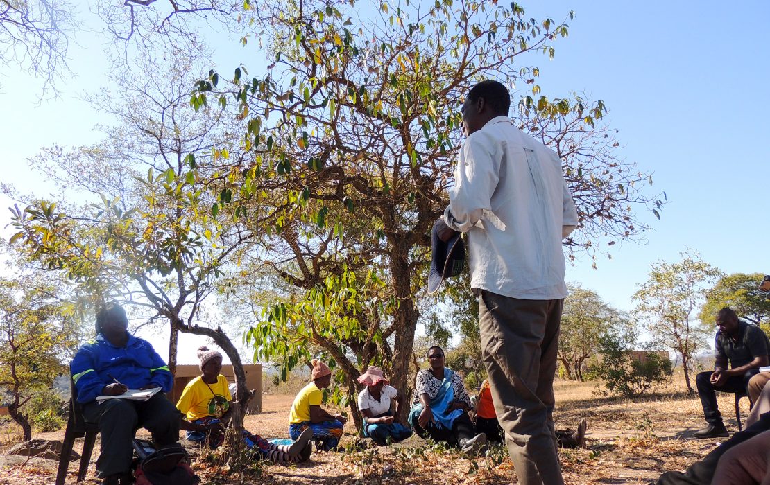 The impact of climate information multiplies when communities know how to use it. In countries such as Zimbabwe and Zambia, farmer field schools are proving effective for sharing forecasts and training farmers to act on them. Photo: UNDP Zimbabwe Community members in southern Zimbabwe gather outdoors under a tree for a meeting on building climate-resilient agriculture.
