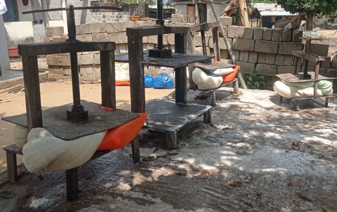 Women-led cooperatives in Yoboué́kro, Côte d’Ivoire, use traditional cassava pressing methods to minimize post-harvest losses and boost the value of their harvests. Photo: UNDP Cote d’Ivoire Traditional cassava pressing methods in Cote d'Ivoire