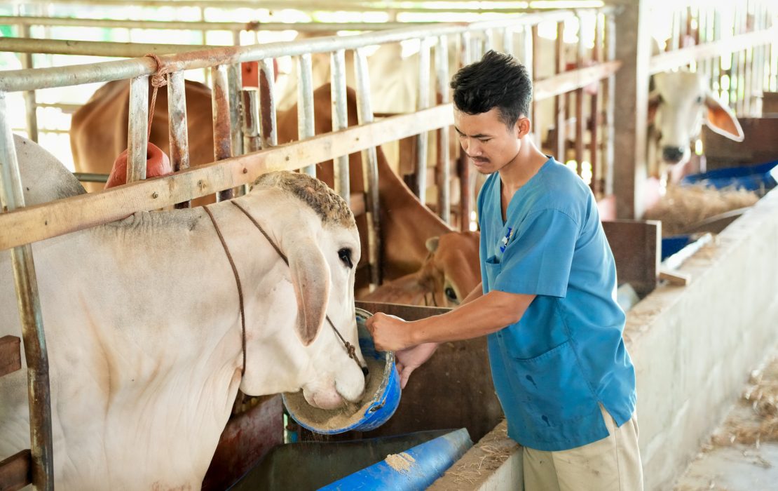 Climate change adaptation in agriculture and food systems in Cambodia